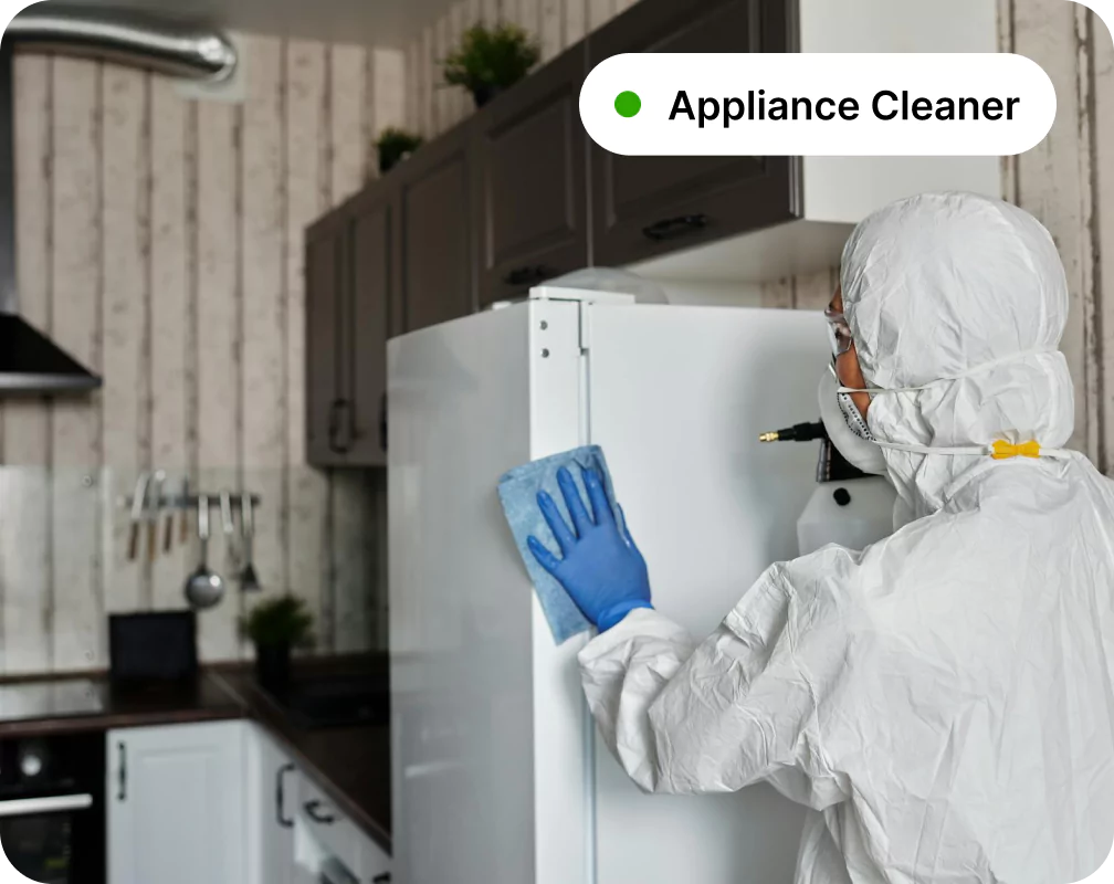 header image - Appliance Cleaner