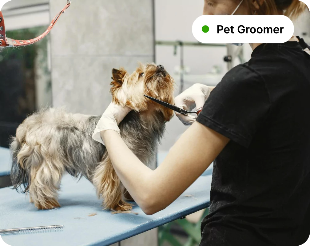 header image - pet groomer