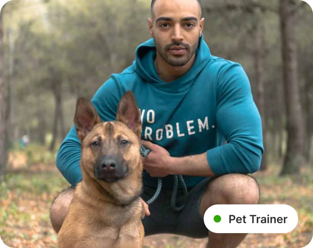 header image - Pet Trainer