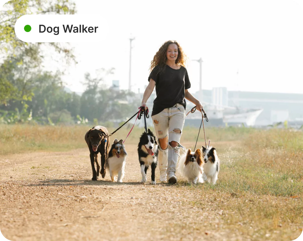 header image - Dog Walker